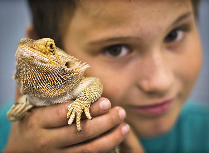 exotic reptile shop near me