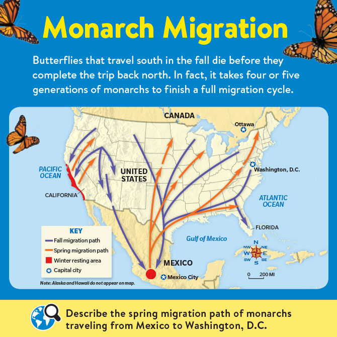 29 Monarch Butterfly Migration Map Online Map Around The World