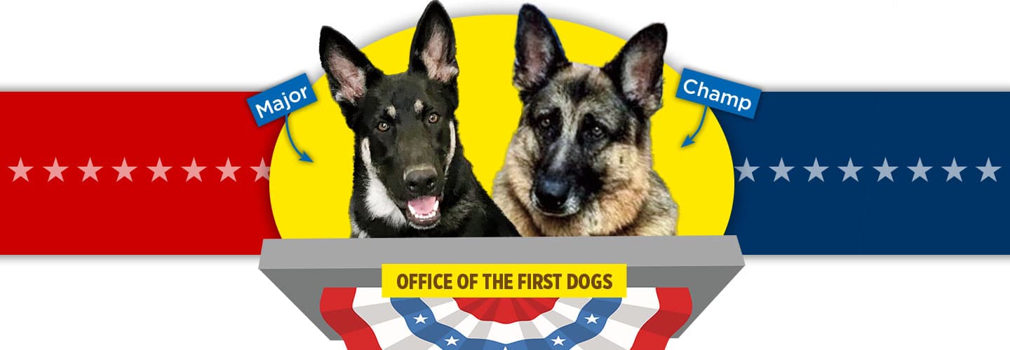 Two dogs named major and champ at a podium. Text, office of the first dog