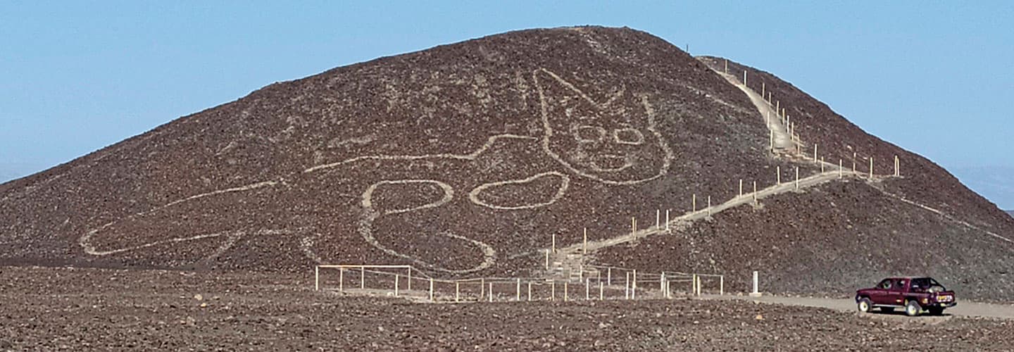 aerial shot of a cat drawing carved into a large hillside