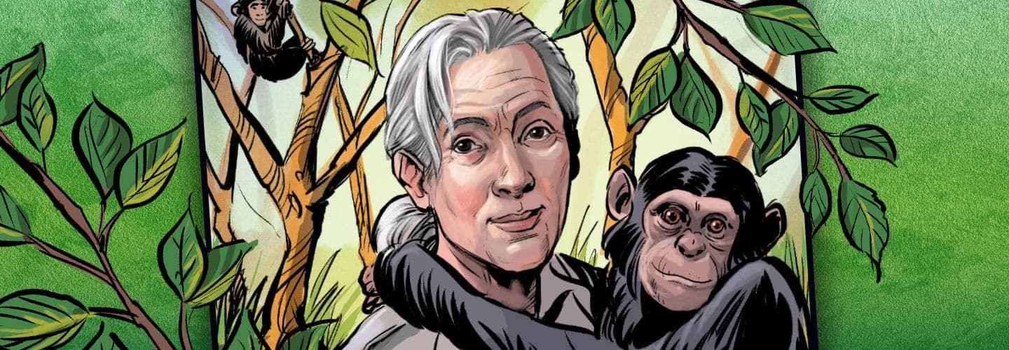 A baby monkey hugs Jane Goodall