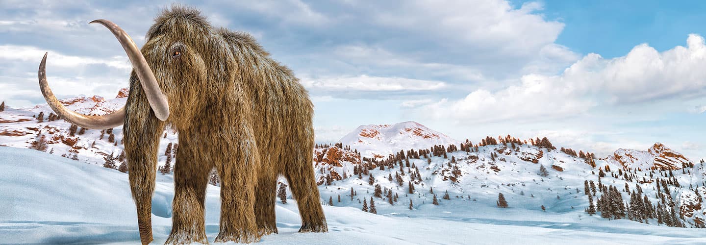 Woolly Mammoth in a snowy landscape