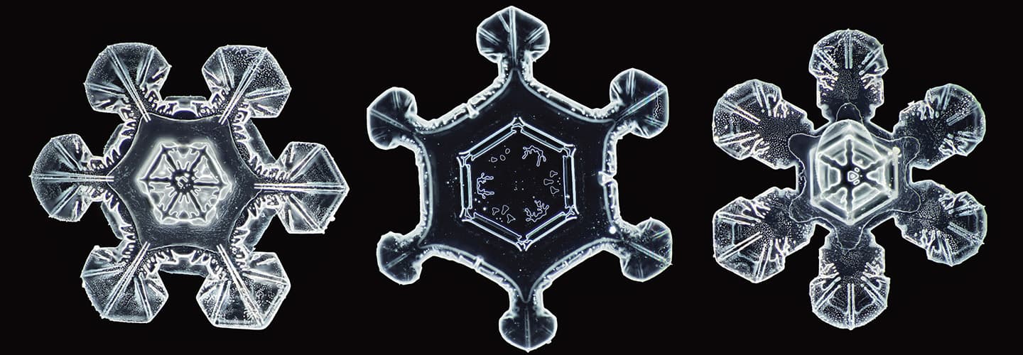 Microscopic image of three snowflakes