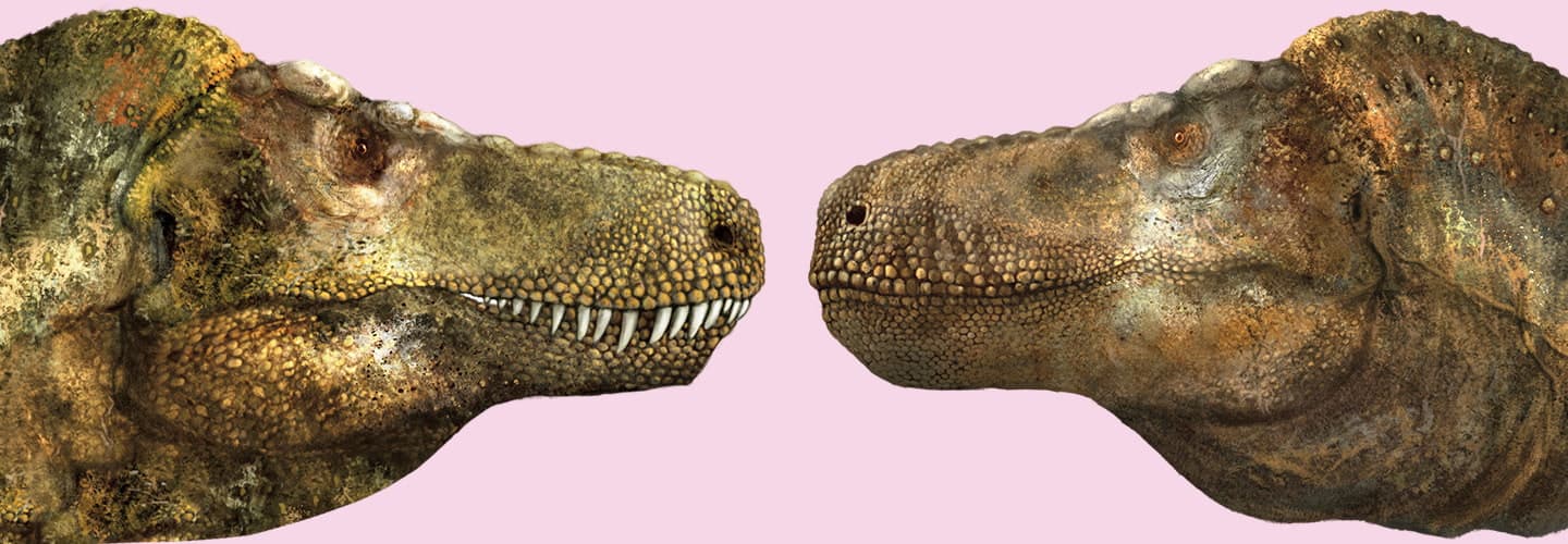 T. rex may have had lips like a modern lizard's