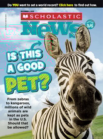 Explore our December 1, 2025, issue